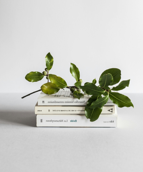 Books with plant